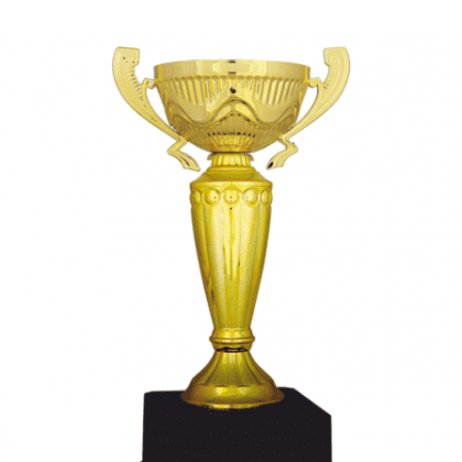 Ekonomik Kupa 28 cm