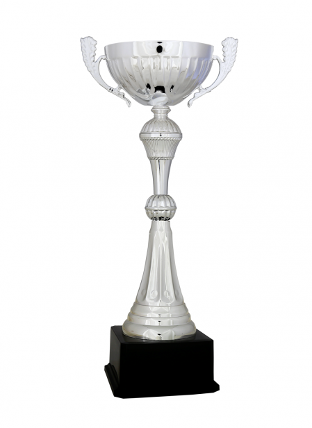 Ekonomik Kupa 41 cm