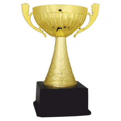 Ekonomik Kupa 24 cm