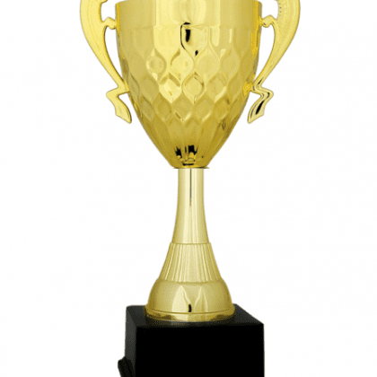 Ekonomik Kupa 33 cm