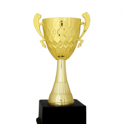 Ekonomik Kupa 29 cm