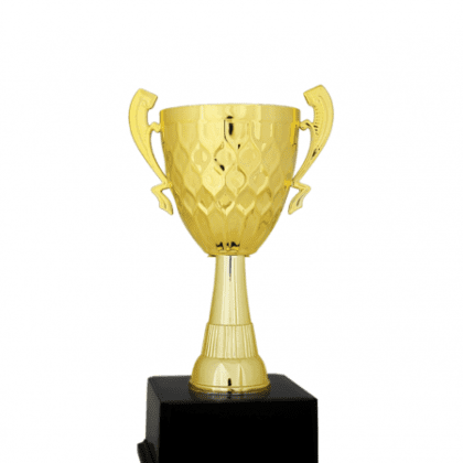 Ekonomik Kupa 27 cm