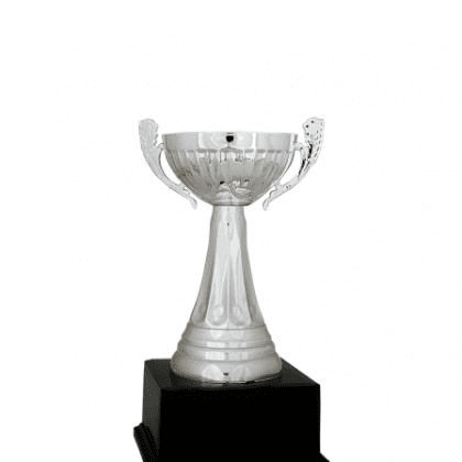 Ekonomik Kupa 23 cm