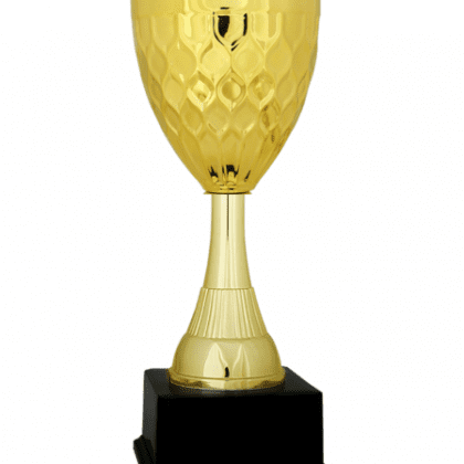 Ekonomik Kupa 31 cm
