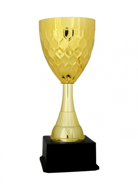 Ekonomik Kupa 31 cm