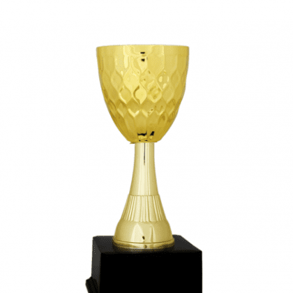 Ekonomik Kupa 29 cm