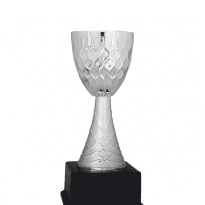 Ekonomik Kupa 27 cm