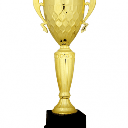 Ekonomik Kupa 41 cm