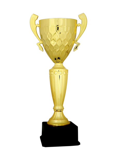 Ekonomik Kupa 41 cm