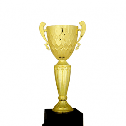 Ekonomik Kupa 33 cm