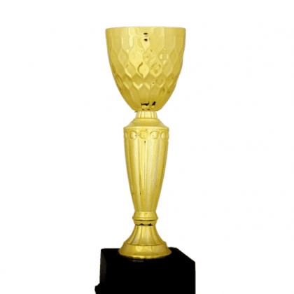 Ekonomik Kupa 33 cm