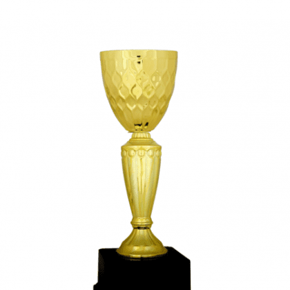 Ekonomik Kupa 31 cm
