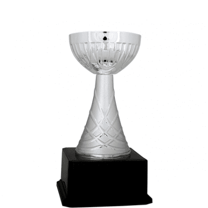 Ekonomik Kupa 22 cm