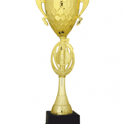 Ekonomik Kupa 46 cm