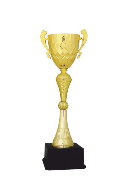 Ekonomik Kupa 42 cm