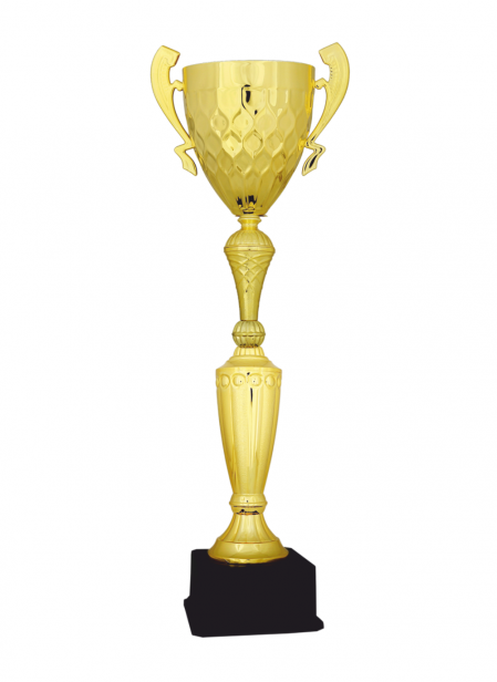 Ekonomik Kupa 55 cm