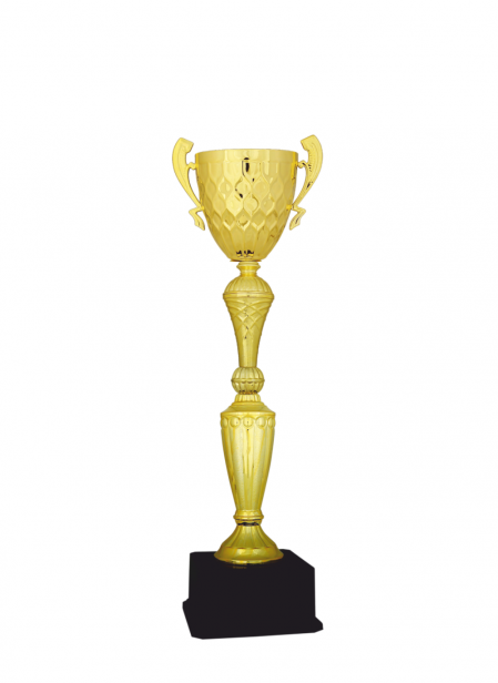 Ekonomik Kupa 47 cm
