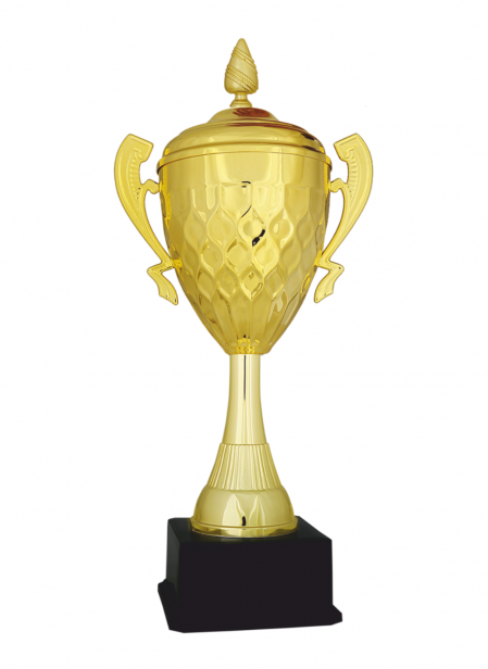 Ekonomik Kupa 41 cm