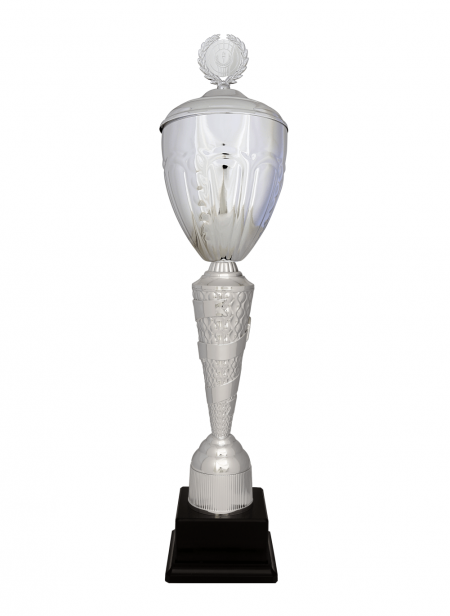 Büyük Kupa 67 cm