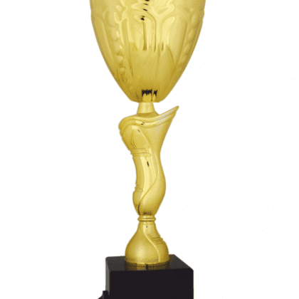 Büyük Kupa 47 cm