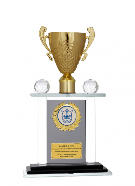 Kristal Plaket 42 cm