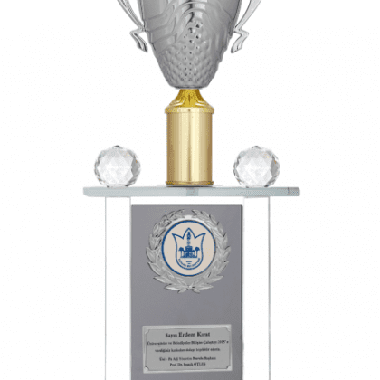 Kristal Plaket 42 cm