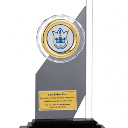 Kristal Plaket 26 cm