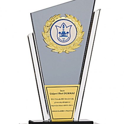 Kristal Plaket 27 cm