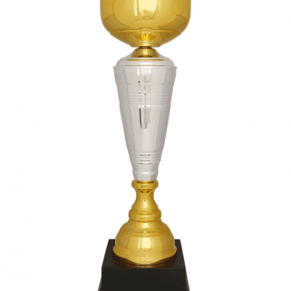 Özel Tasarım Kupa 69 cm V25