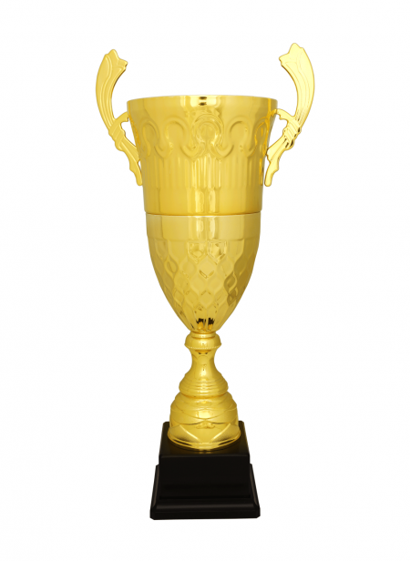 Özel Tasarım Kupa 61 cm V35-A